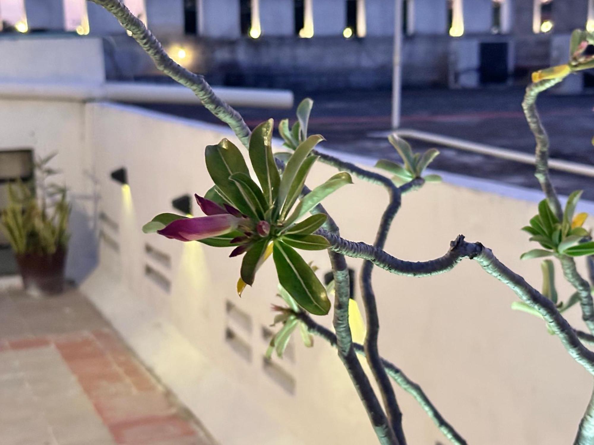 Casa Vidal Hotel Valladolid  Dış mekan fotoğraf